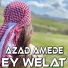 Azad Amedê