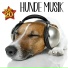 Entspannung für Hunde