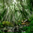Nature Sounds Winds