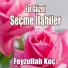 feyzullah koç - canım anam