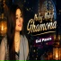 Gul Panra