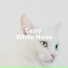 Loopable White Noise