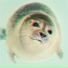 Actek