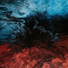 Morgan Malla