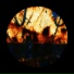 LIF7