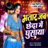 Babar bihari yadav, Pratima Arya