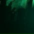 Morfis