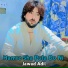 Jawad Adil