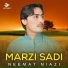 Neemat Niazi