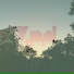 Vipid