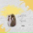 GRIBIN