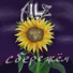 ALLE