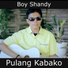 Boy Shandy