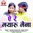 Hemlal Chaturvedi, Teejan Patel