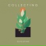 Collecting