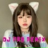 DJ PRO REMIX