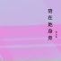 陈弘影