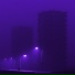 rareeast, AM3Y