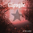 Flipsyde