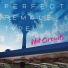 Perfect Female Type