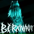 berXnaut