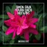 Simon Fava, Yvvan Back, Notwins