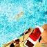 Jay 305