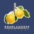 Pomplamoose