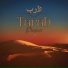 Tarab Project feat. Lucas Melean