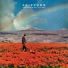 flipturn