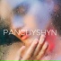 PANCHYSHYN