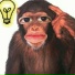 bebo