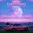 FIRMENNO