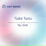 Tudor Turcu