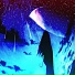 nevercryed feat. Shmoke Shirongan