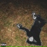 Slothkidd, WhyYZ, Iamgreedy