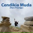 Hendra Syah