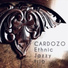 Cardozo Ethnic Jazzy Trio