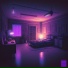 nitedelite