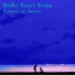 SysEx Night Store