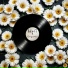 Only-Fi