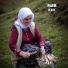 Rojgül
