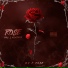 K-Rose