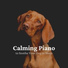 Dog Calming Music