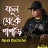 Ayub Bachchu