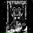 Petbrick