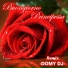 Domy DJ