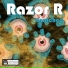 Razor R