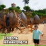 Вокальная студия Чижики