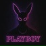 Dirty PlayBoy